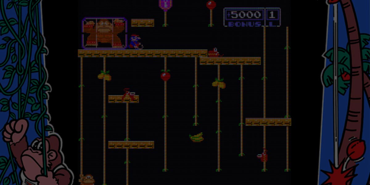 Donkey Kong Junior